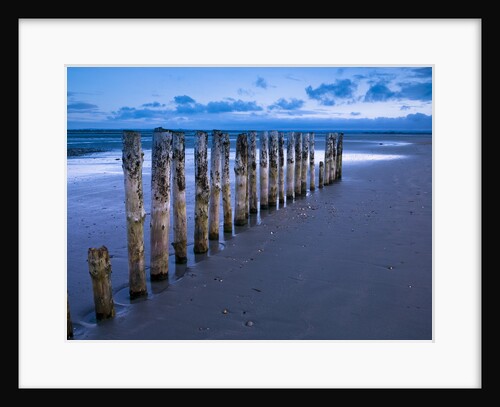 Groynes at ast head beach, West Susex coast by Assaf Frank